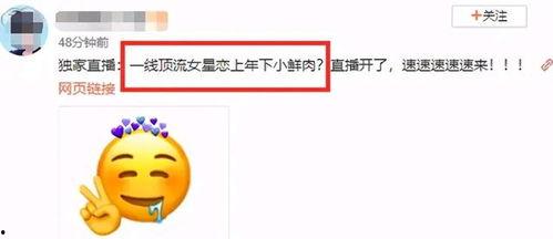 娱乐吃瓜网官网,揭秘娱乐圈最新热点，带你畅游八卦海洋